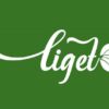 liget_fejlec