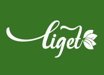 liget_fejlec